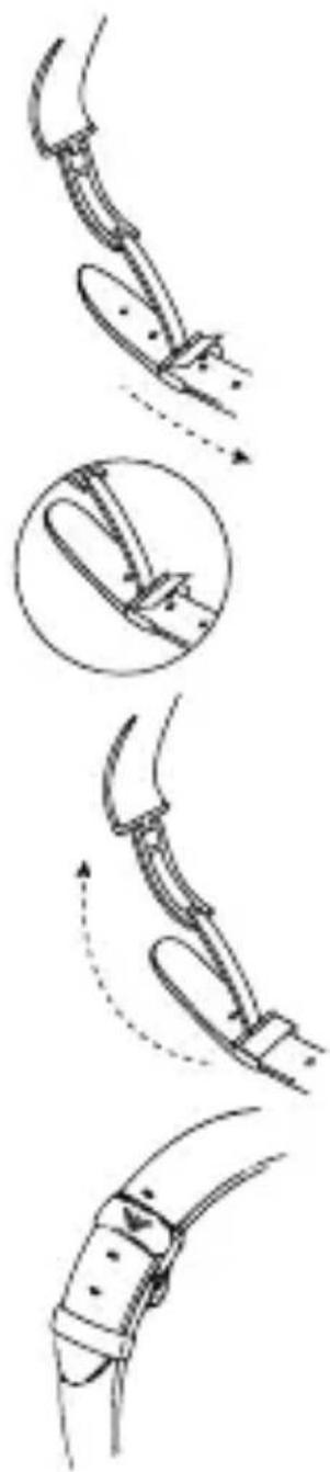 Armani AR2460 - CÓM O AJUSTAR LA CORREA - 1