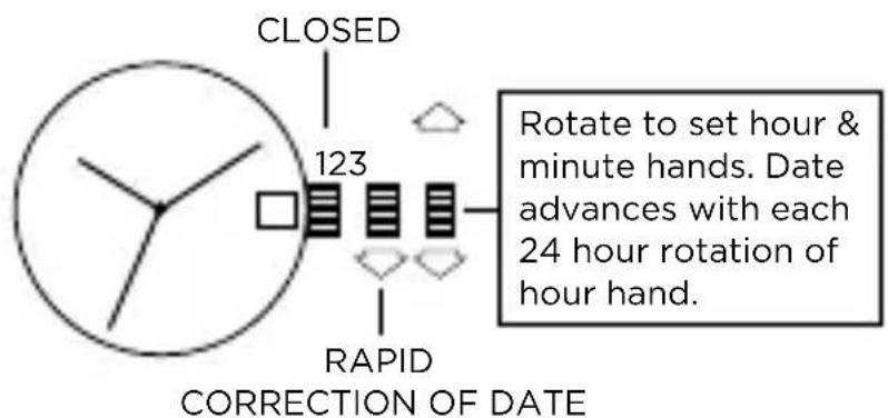 Armani AR2460 - DATE MODELS - 1