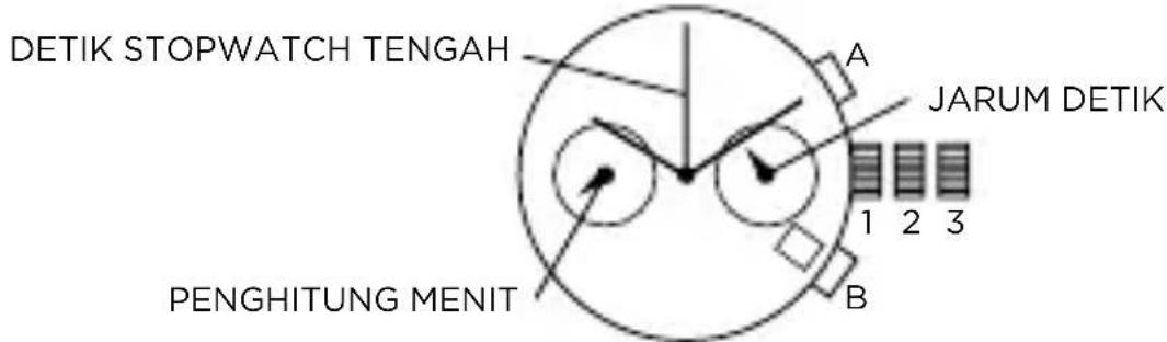 Armani AR2460 - KRONOGRAF 2 MATA - 1