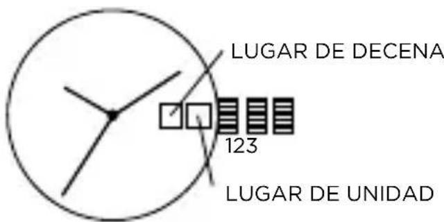 Armani AR2460 - FECHA GRANDE - 1