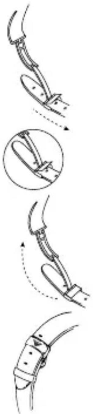 Armani AR2460 - 基本功能 - 1