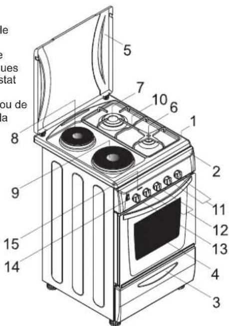 ROSIERES RCG 6911 RB - ASPECT General et definition de l'appareil - 3