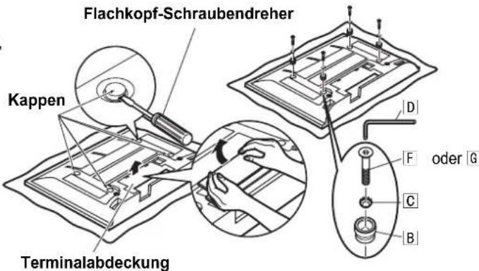 PANASONIC TYWK42PR4W - Vorsicht - 1