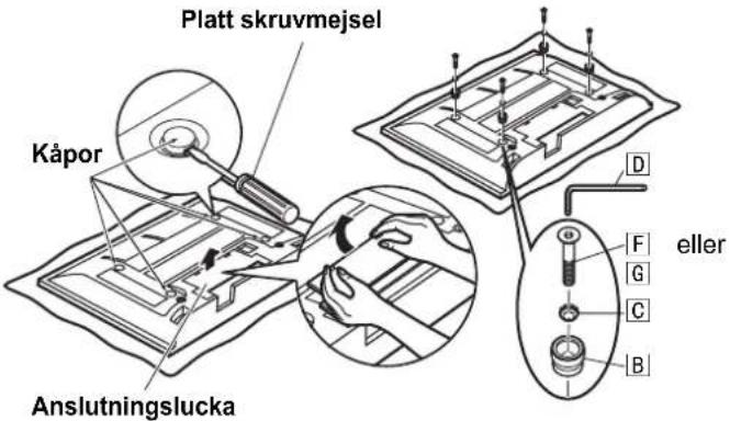 PANASONIC TYWK42PR4W - Anm - 1
