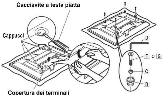 PANASONIC TYWK42PR4W - Distacco del teilevisore al plasma - 1