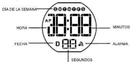 Calypso K5735 - VISUALIZADOR MODO HORA - 1