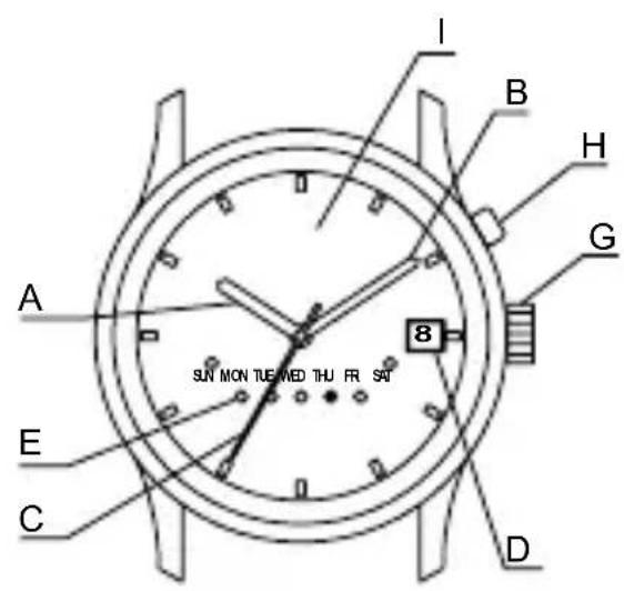 ORIENT Sports EU07005B - NAME DER EINZELTEILE - 7