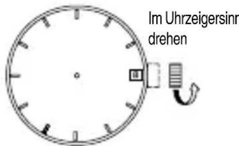ORIENT Sports EU07005B - EINSTELLEN DES DATUMS [ALLE MODELLE] - 2