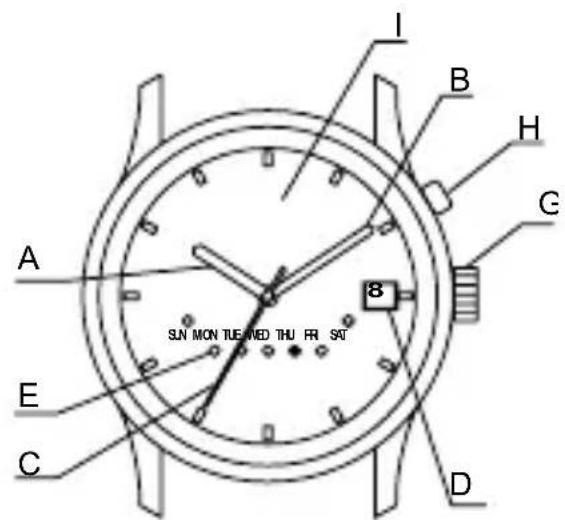 ORIENT Sports EU07005B - NOMS DES PIECES - 6