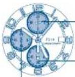 FESTINA Prestige F20493 - POSICAO DO OLHO - 2