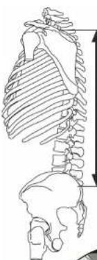 Jack Wolfskin Jungle Gym - X-TRANSITION - 3