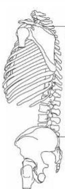 Jack Wolfskin Jungle Gym - Eispickel-Fixierung · Ice axe lashing Fixation pourpiolet - 8