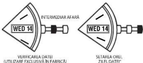 TIMEX MK1 TW2R37300VQ - CALENDAR PERMANENT - 1