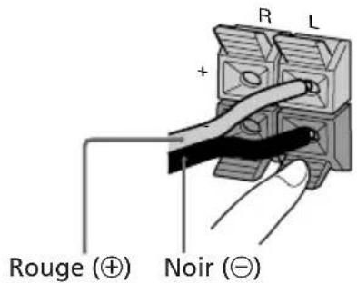 SONY LBTXB55AV - Raccordement des haut-parleurs avant - 1