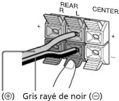 SONY LBTXB55AV - Raccordement des haut-parleurs arrriere - 1