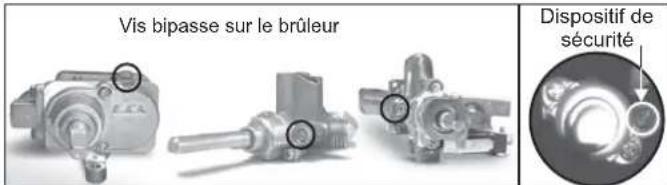 ROSIERES RCG 6972 RB - Remplacement des injecteurs des brûleurs - 2