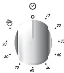 ROSIERES RCG 6972 RB - USO DEL TEMPORIZZATORE - 1