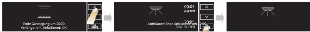 BAUKNECHT BLTM 9100PT02 - ANBRÄUNEN - 1