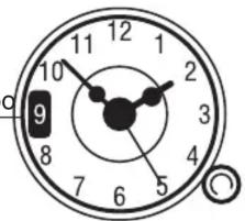 ROSIERES FR 20503 IN - USO DEL TEMPORIZZATORE - 2