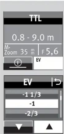 METZ Mecablitz 64 AF1 digital - Helles Motiv vor dunklem Bildhintergrund: Negativer Korrekturwert. - 1
