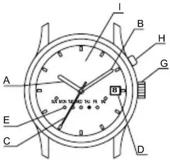 ORIENT Contemporary EU00002U - NAMEN DER EINZELTEILE - 7
