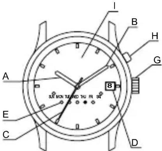 ORIENT Contemporary EU00002P - NAMEN DER EINZELTEILE - 7