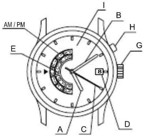 ORIENT Contemporary EU00002P - NAMES OF INDIVIDUAL COMPONENT PARTS - 5
