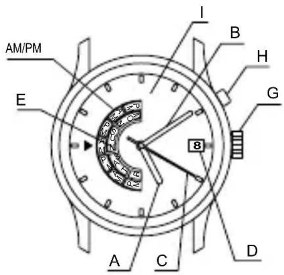 ORIENT Contemporary EU00002P - PARTES COMPONENTES - 5