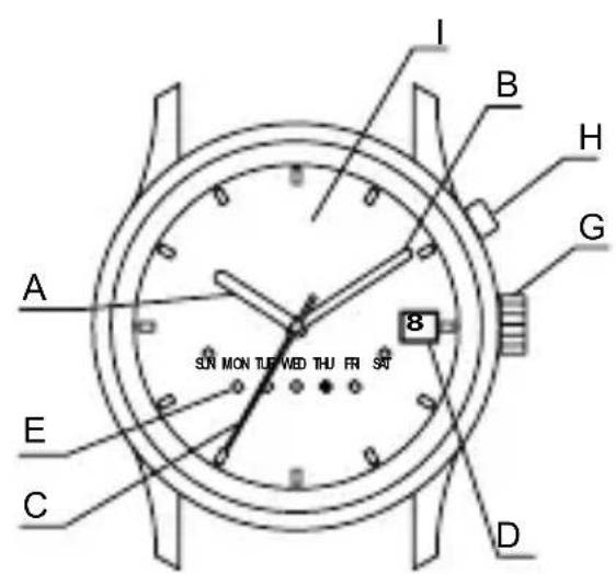 ORIENT Contemporary EU00002C - y - 5