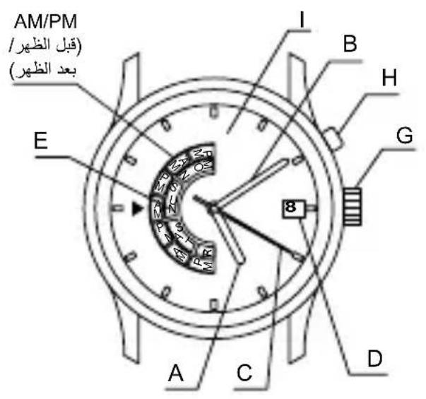 ORIENT Contemporary EU00000W - y - 2