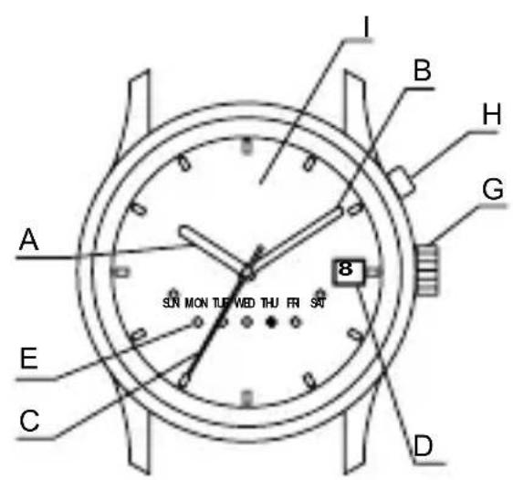 ORIENT Sports ET0X003T - y - 5