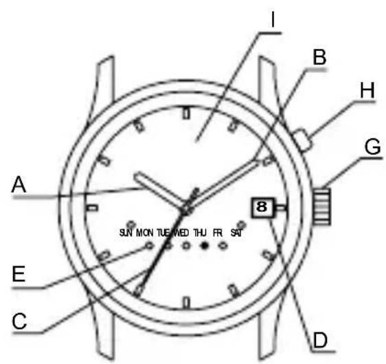 ORIENT Sports ET0X002W - NAME DER EINZELTEILE - 7