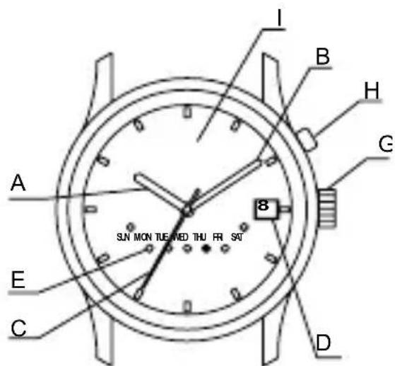 ORIENT Sports ET0X002W - NOMS DES PIECES - 6