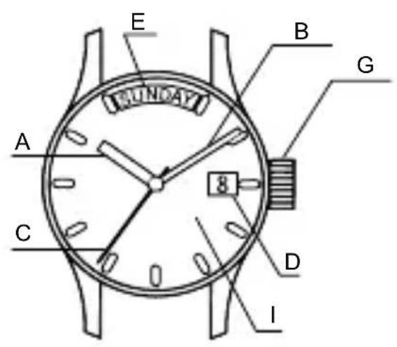 ORIENT Sports ET0X002W - NAME DER EINZELTEILE - 3