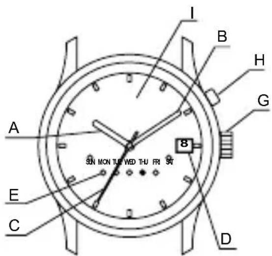 ORIENT Sports ET0X002W - PARTES COMPONENTES - 6