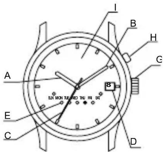 ORIENT Sports ET0V003B - NOMS DES PIECES - 6