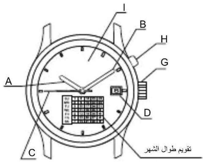ORIENT Contemporary ET0P001W - y - 4