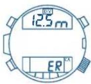 FESTINA F6694 - IFMCSOO - 1