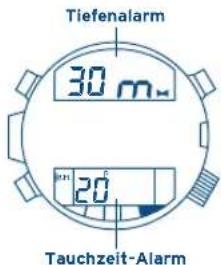 FESTINA F6694 - TAUCHALARM-MODI - 1