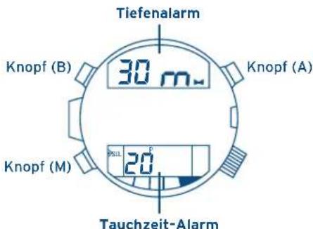 FESTINA F6601 - IFMCS00 - 1