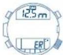 FESTINA F6601 - [SI I'indication ER (erreur) apparait] - 1