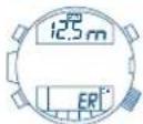 FESTINA F6601 - [Se vlene visualizzato ER (erreore)] - 1