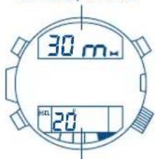 FESTINA F6601 - [SI I'indication ER (erreur) apparait] - 2