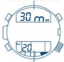 FESTINA F6601 - [Se vlene visualizzato ER (erreore)] - 2