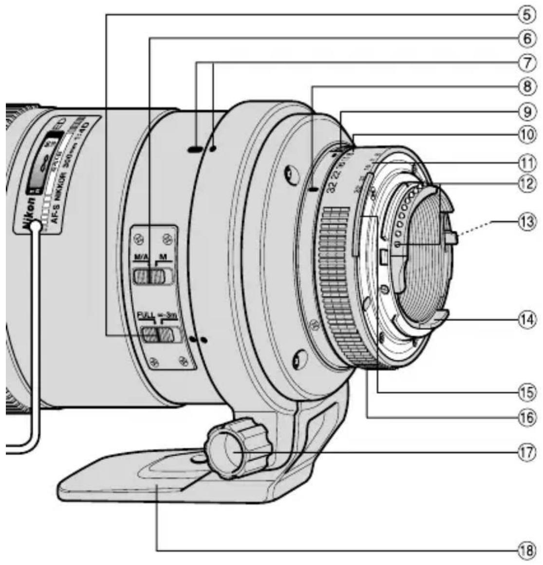 NIKON Nikkor AFS 300mm f4D IFED - 経表示の例 - 9