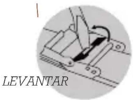 Olivia Burton Sunray Dial OB16DE08 - AJUSTE DE LA HEBILLA - 1