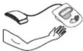 Geratherm Desktop GP6621 - Posizionamento del bracciale - 1