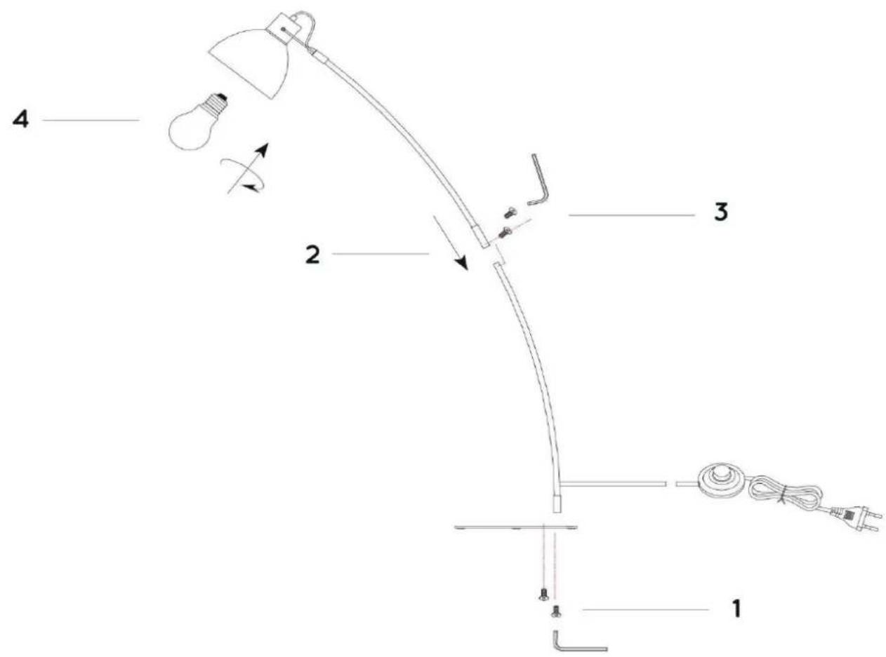 Lucide Curf 037130131 - CURF - 1