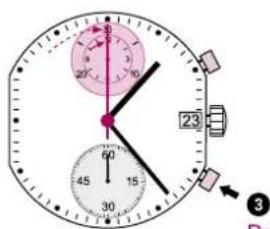 Torgoen T16CRG44BRL - Compteur des minutes Compteur des heures - 2