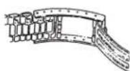 TIMEX Expedition TW4B17000ZA - KATLANAN TOKALI KORDON - 3